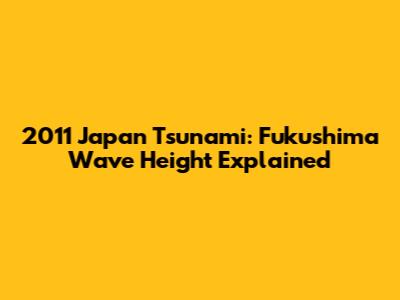 2011 Japan Tsunami: Fukushima Wave Height Explained
