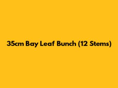 35cm Bay Leaf Bunch (12 Stems)