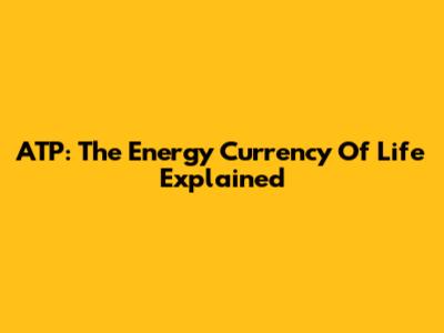 ATP: The Energy Currency Of Life Explained