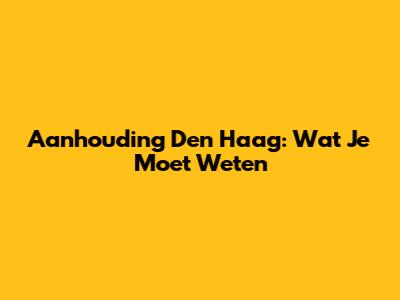 Aanhouding Den Haag: Wat Je Moet Weten