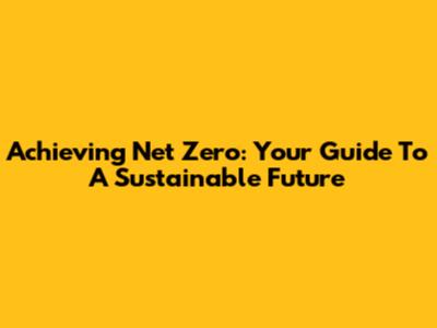 Achieving Net Zero: Your Guide To A Sustainable Future
