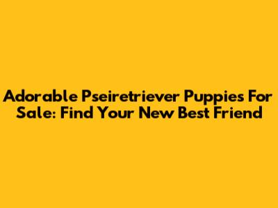 Adorable Pseiretriever Puppies For Sale: Find Your New Best Friend