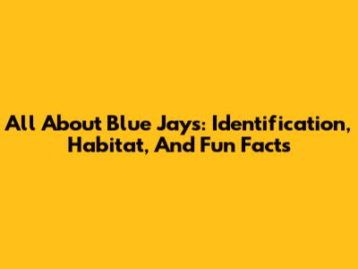 All About Blue Jays: Identification, Habitat, And Fun Facts