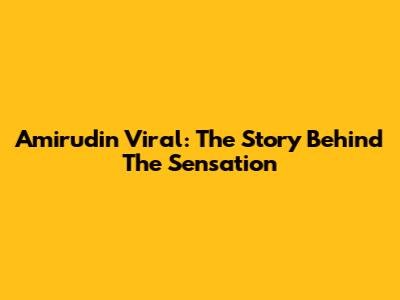 Amirudin Viral: The Story Behind The Sensation
