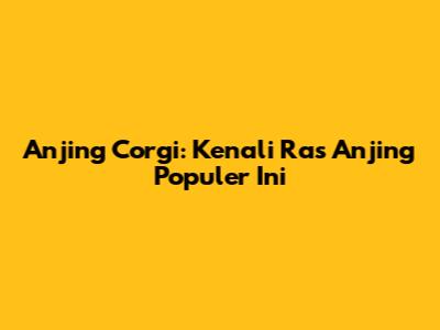 Anjing Corgi: Kenali Ras Anjing Populer Ini