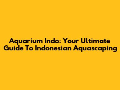 Aquarium Indo: Your Ultimate Guide To Indonesian Aquascaping