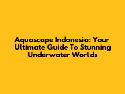 Aquascape Indonesia: Your Ultimate Guide To Stunning Underwater Worlds