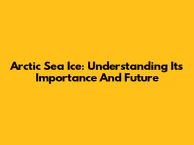 Arctic Sea Ice: Understanding Its Importance And Future