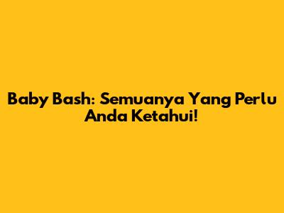 Baby Bash: Semuanya Yang Perlu Anda Ketahui!