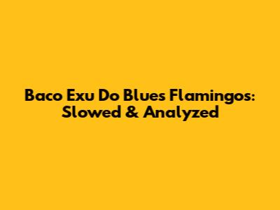 Baco Exu Do Blues' Flamingos: Slowed & Analyzed
