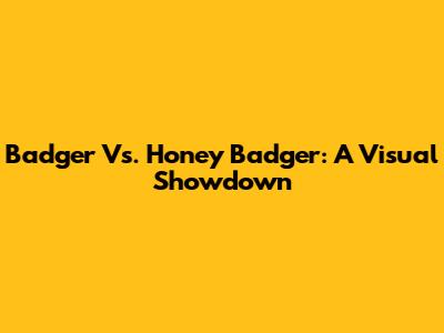 Badger Vs. Honey Badger: A Visual Showdown