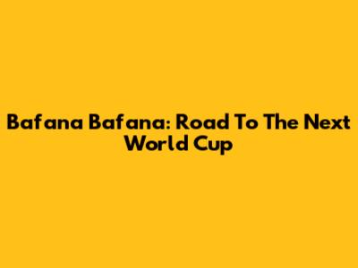 Bafana Bafana: Road To The Next World Cup