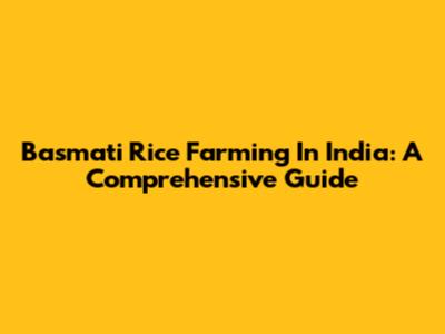 Basmati Rice Farming In India: A Comprehensive Guide