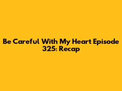 Be Careful With My Heart Episode 325: Recap