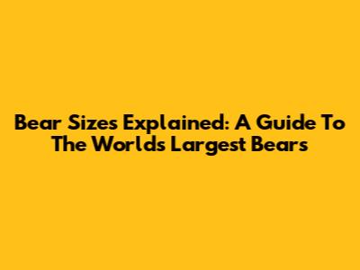 Bear Sizes Explained: A Guide To The World's Largest Bears