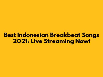 Best Indonesian Breakbeat Songs 2021: Live Streaming Now!