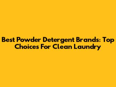 Best Powder Detergent Brands: Top Choices For Clean Laundry