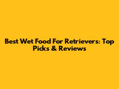 Best Wet Food For Retrievers: Top Picks & Reviews