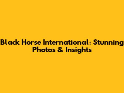 Black Horse International: Stunning Photos & Insights