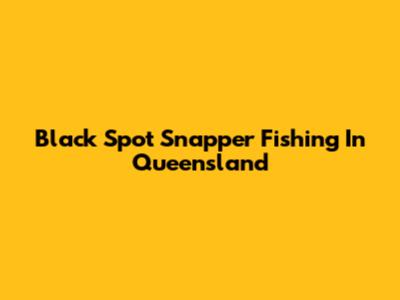 Black Spot Snapper Fishing In Queensland