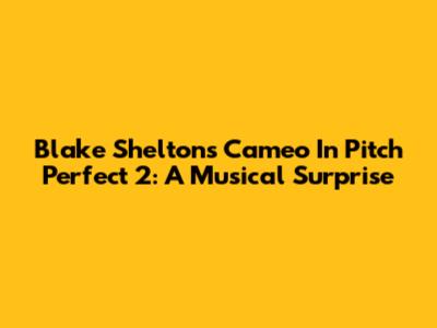Blake Shelton's Cameo In Pitch Perfect 2: A Musical Surprise
