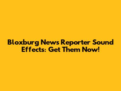 Bloxburg News Reporter Sound Effects: Get Them Now!