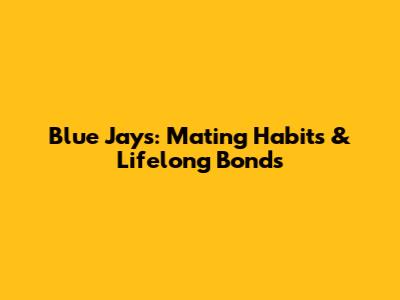 Blue Jays: Mating Habits & Lifelong Bonds