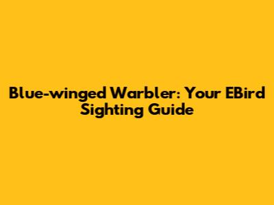 Blue-winged Warbler: Your EBird Sighting Guide