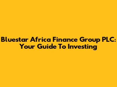 Bluestar Africa Finance Group PLC: Your Guide To Investing