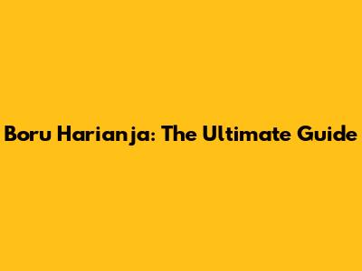 Boru Harianja: The Ultimate Guide
