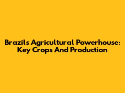 Brazil's Agricultural Powerhouse: Key Crops And Production