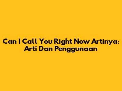 Can I Call You Right Now Artinya: Arti Dan Penggunaan