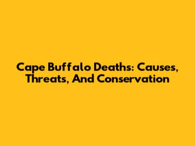Cape Buffalo Deaths: Causes, Threats, And Conservation