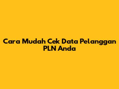 Cara Mudah Cek Data Pelanggan PLN Anda