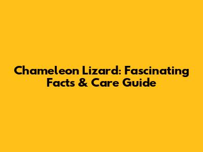 Chameleon Lizard: Fascinating Facts & Care Guide