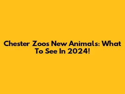 Chester Zoo's New Animals: What To See In 2024!