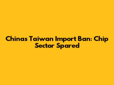 China's Taiwan Import Ban: Chip Sector Spared
