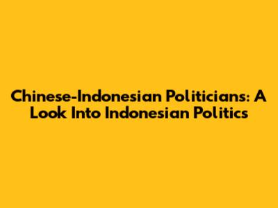 Chinese-Indonesian Politicians: A Look Into Indonesian Politics
