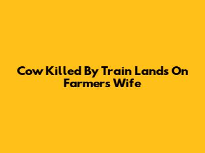 Cow Killed By Train Lands On Farmer's Wife