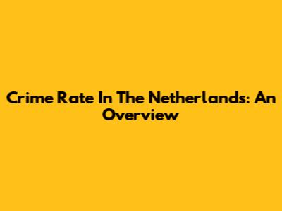 Crime Rate In The Netherlands: An Overview