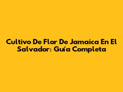 Cultivo De Flor De Jamaica En El Salvador: Guía Completa