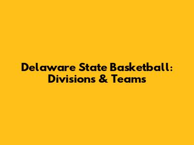 Delaware State Basketball: Divisions & Teams