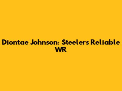 Diontae Johnson: Steelers' Reliable WR