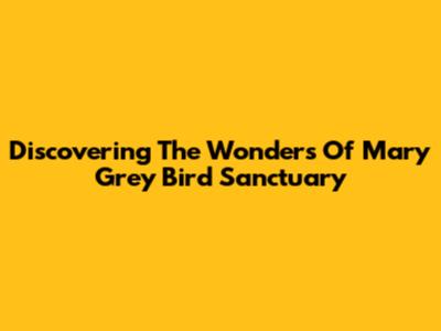 Discovering The Wonders Of Mary Grey Bird Sanctuary