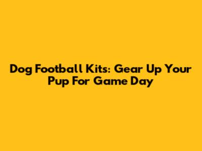 Dog Football Kits: Gear Up Your Pup For Game Day