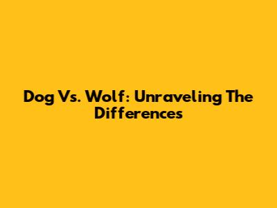 Dog Vs. Wolf: Unraveling The Differences