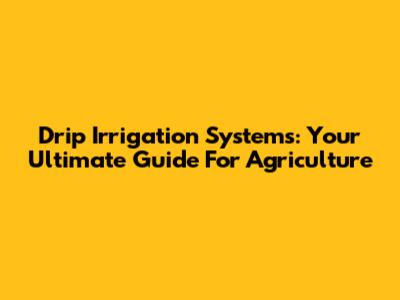 Drip Irrigation Systems: Your Ultimate Guide For Agriculture