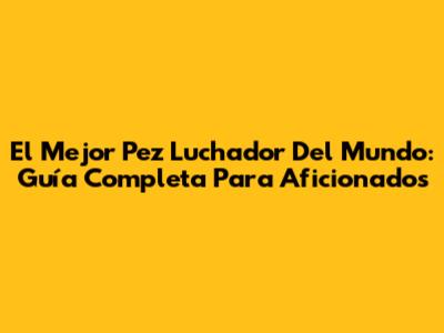 El Mejor Pez Luchador Del Mundo: Guía Completa Para Aficionados