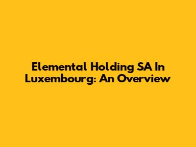 Elemental Holding SA In Luxembourg: An Overview
