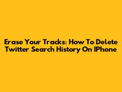 Erase Your Tracks: How To Delete Twitter Search History On IPhone